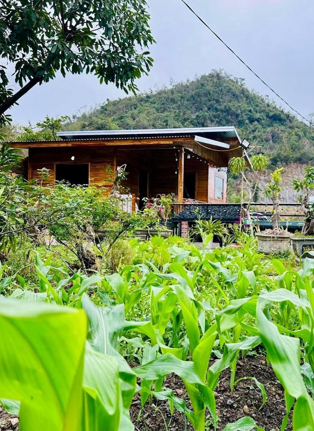 Cat Ba Love House Xuan Dam Bagian luar foto